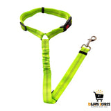 Elastic Safety Traction Rope Dog Chain