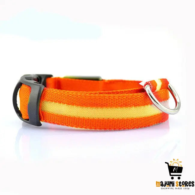 LED Dog Collar for Safety