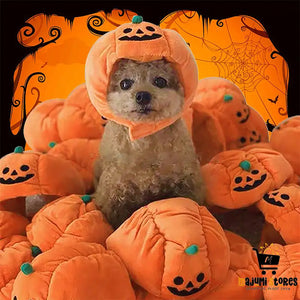 Funny Pumpkin Pet Hat