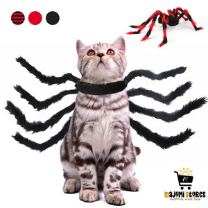 Creative Spider Pet Costume