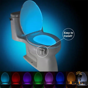 LED Toilet Night Light